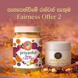 Fairness Offer 2