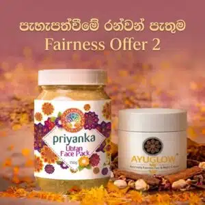 Fairness Offer 2